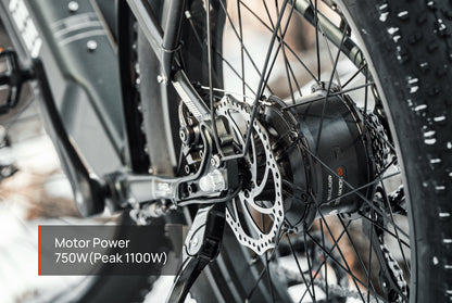 UrbanGlide Pro Commuter eBike